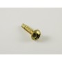 PS1 PAL console screw gold
